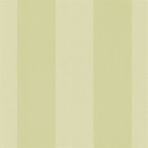 Harpswell Celery Herringbone Awning Stripe