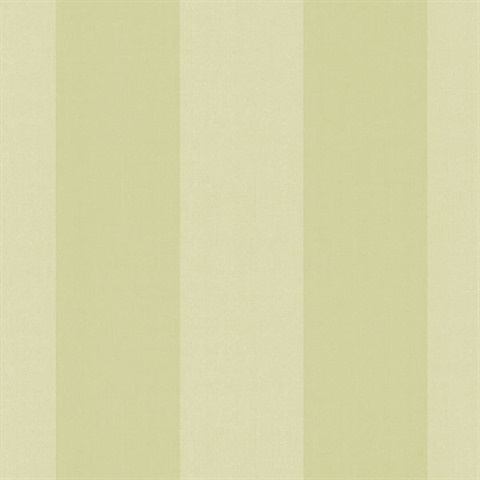 Harpswell Celery Herringbone Awning Stripe