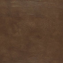 Amarillo Black Walnut