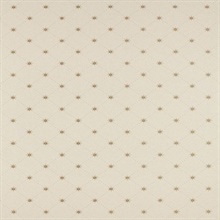 Cooper Star Alabaster