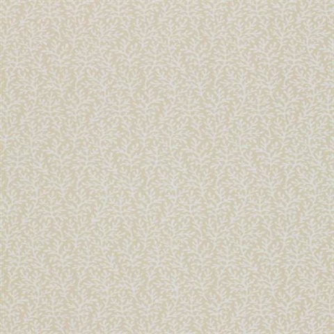Sea Coral Bone