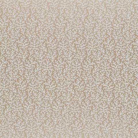 Sea Coral Champagne