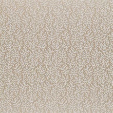 Sea Coral Champagne