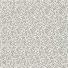 Sea Coral Smoke