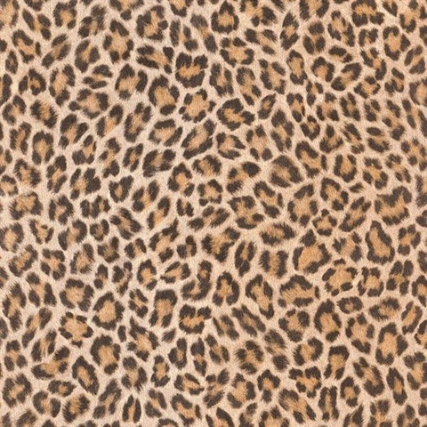 Leopard Orange On Brown