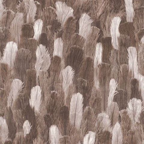Ostrich Feather Brown And White