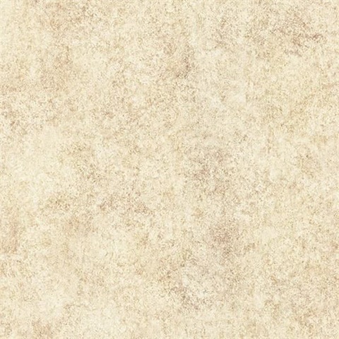 Ambra Light Brown Stylized Texture