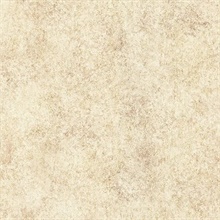 Ambra Light Brown Stylized Texture