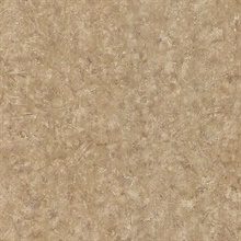 Marco Taupe Plaster Texture