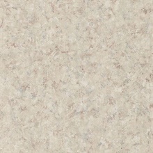 Marco Light Grey Plaster Texture