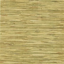 Lepeka Green Grasscloth
