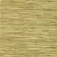 Lepeka Green Grasscloth