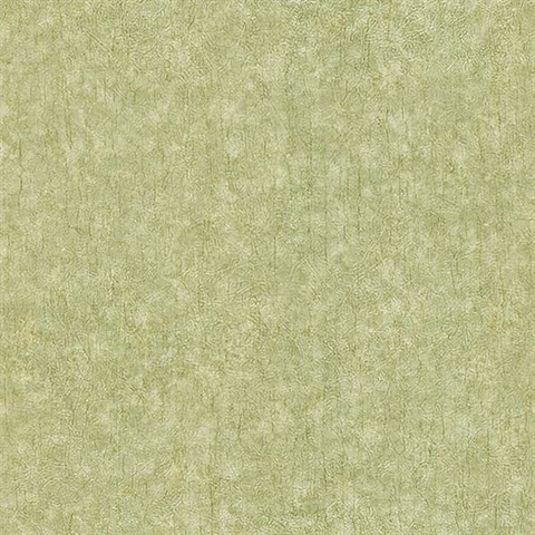 Fabian Light Green Damask Texture