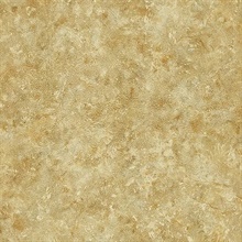 Corinne Tawny Tuscan Texture