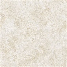 Ambra Cream Stylized Texture