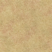 Ambra Beige Stylized Texture