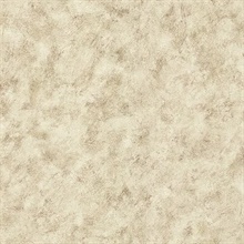 Pergoda Taupe Pergoda Texture