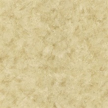 Pergoda Beige Pergoda Texture