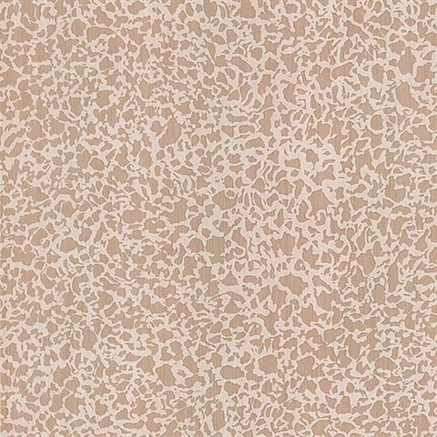 Bangkok Taupe Plaster