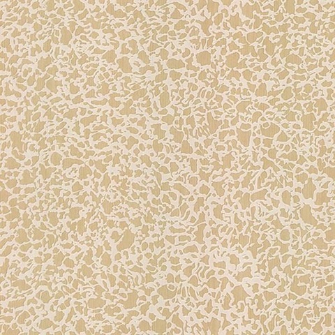 Bangkok Beige Plaster