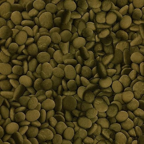 Sante Brass Pebbles