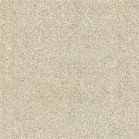 Jaipur Taupe Elephant Skin Texture