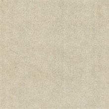 Jaipur Taupe Elephant Skin Texture