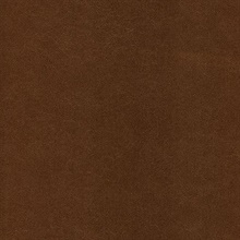 Jaipur Brown Elephant Skin Texture