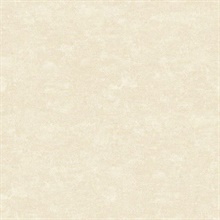 Redding Rose Acanthus Texture Wallpaper