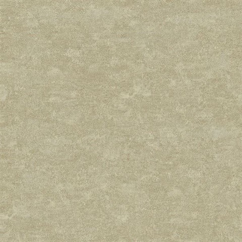 Redding Grey Acanthus Texture Wallpaper