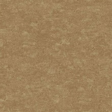 Redding Brown Acanthus Texture Wallpaper