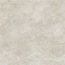 Grey Sofonisba Damask