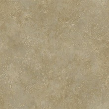 Brown Camille Texture