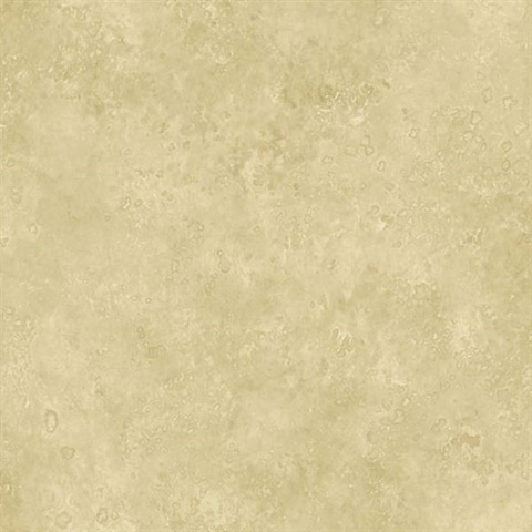 Beige Camille Texture