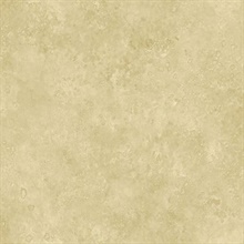 Beige Camille Texture