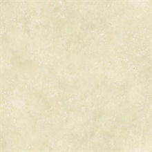 Cream Camille Texture