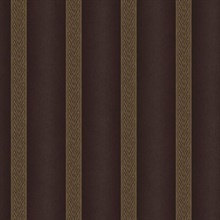 Dark Brown Elisabetta Stripe