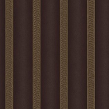 Dark Brown Elisabetta Stripe