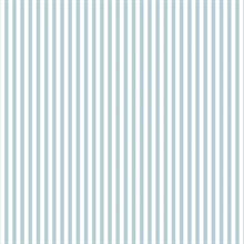 Blue & White Stripe