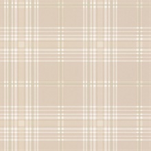 Beige Green & White Plaid