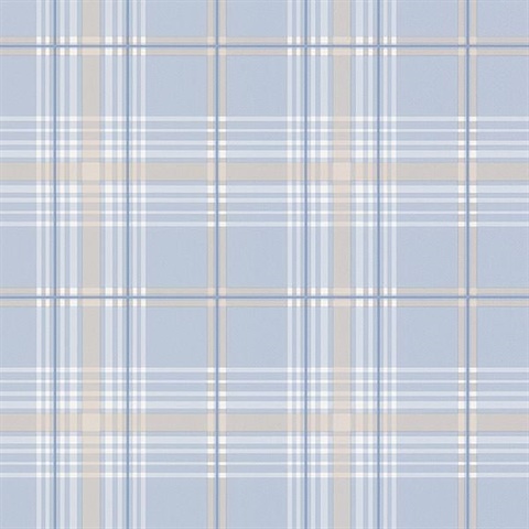 Blue & Tan Plaid