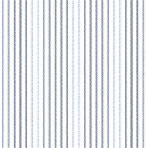 Navy Blue & White Stripe