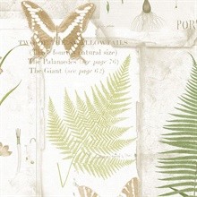 Butterfly & Leaf