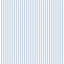 Sky Blue & White Stripe