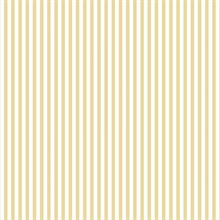 Yellow Stripe