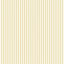 Yellow Stripe