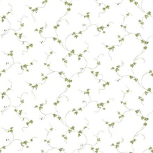 Winding Floral Trail