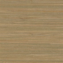 Taupe Glittered Grasscloth