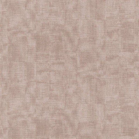 Brown Scrim Texture