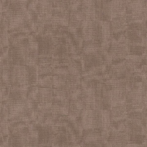 Brown Scrim Texture